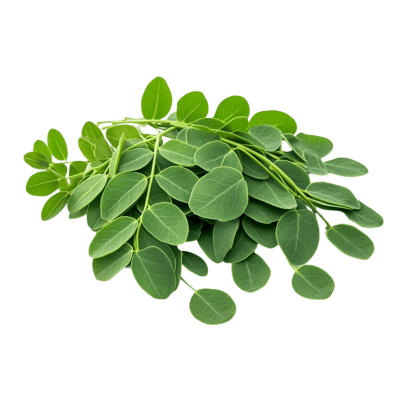 Moringa Leaf Organic